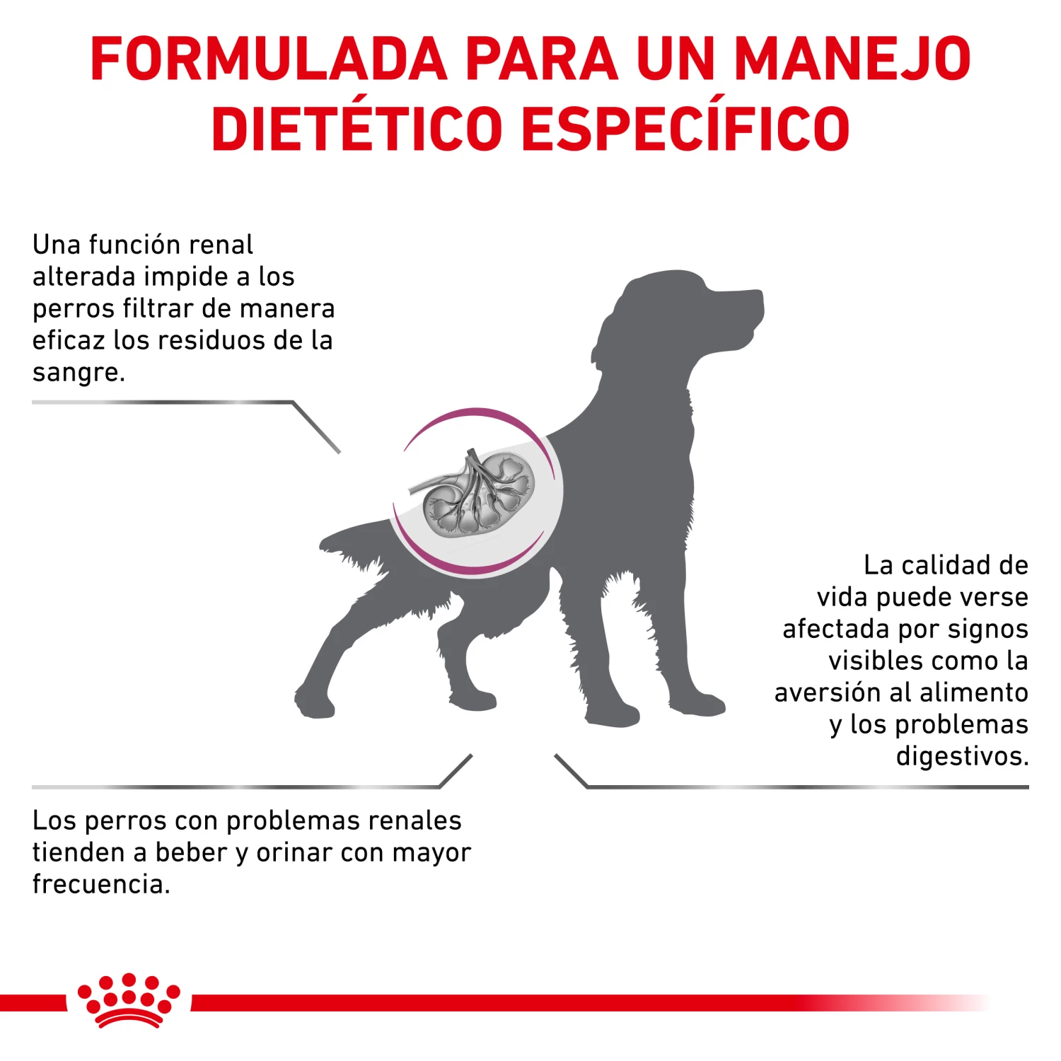 Royal Canin Nourriture Renal Special Canine 9 Royal Canin Nourriture Renal Special Canine – Image 7