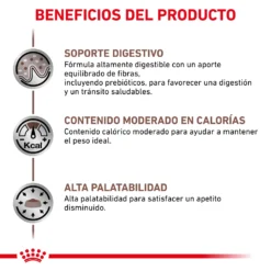 Royal Canin Nourriture Humide Gastro-intestinal Moderate Calorie Feline -Trixie Soldes Magasin BENEFICIOS 62fce20d92b10