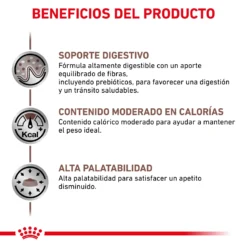 Royal Canin Nourriture Gastro-intestinal Moderate Calorie -Trixie Soldes Magasin BENFICIOS 2 62fcc1fca1f26