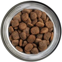 Belcando Tourteau Pour Chien Adult Power -Trixie Soldes Magasin Belcando Napf Adult Power 800x800 62bee1500c597