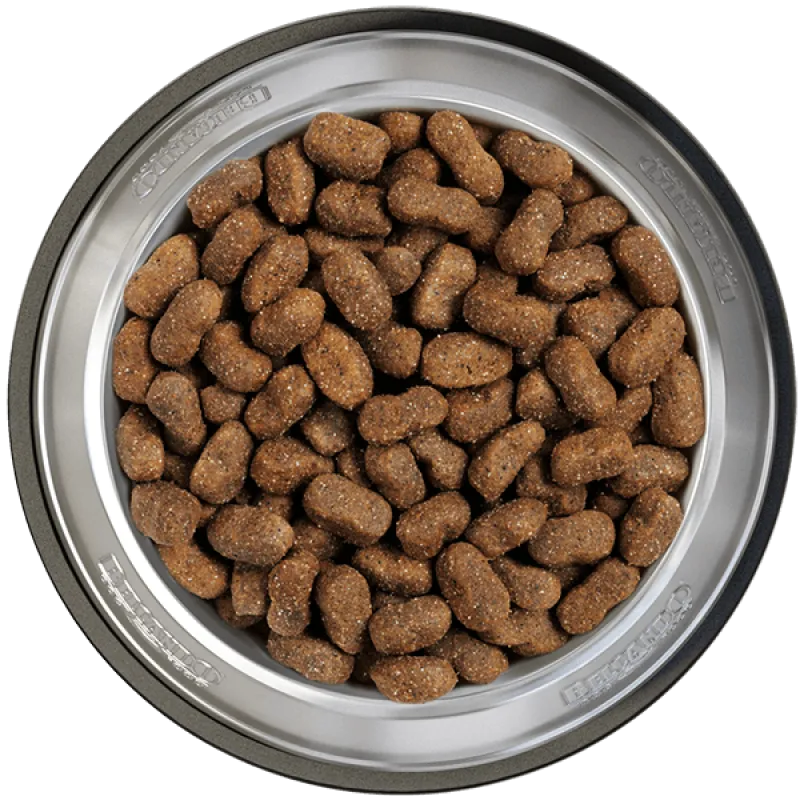 Belcando Nourriture Pour Chiens Junior Gf Poultry 4 Belcando Nourriture Pour Chiens Junior Gf Poultry – Image 2