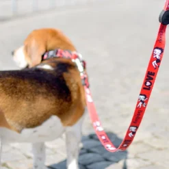 Dashi Laisse Vintage Betty -Trixie Soldes Magasin BettyLeash Classy 2 624ab8b725ddb