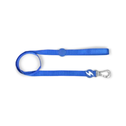 Dashi Laisse Solid Blue