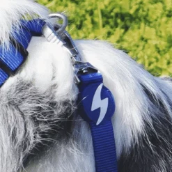 Dashi Laisse Solid Blue -Trixie Soldes Magasin Blue Lifestyle Blue Leash 2 624abdf692b26