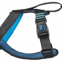 The Company Of Animals Harcèlement Pour Chiens Testé Contre L'Accident -Trixie Soldes Magasin COA29060B COA29160B COA29260B COA29360B 1 637cd7d2ed887 scaled