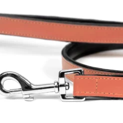 Gloria Pets Cuir Rembourré À Orange Transparent 10 Gloria Pets Cuir Rembourré À Orange Transparent -Trixie Soldes Magasin CR07911CO 2 637e032d85dcc