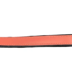 Gloria Pets Cuir Rembourré À Orange Transparent 12 Gloria Pets Cuir Rembourré À Orange Transparent -Trixie Soldes Magasin CR07911CO 5 637e032e97fa4