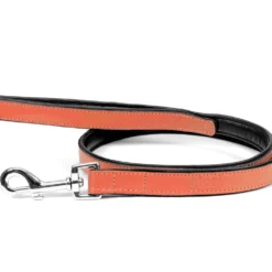 Gloria Pets Cuir Rembourré À Orange Transparent 11 Gloria Pets Cuir Rembourré À Orange Transparent -Trixie Soldes Magasin CR07911CO 637e032e132b5