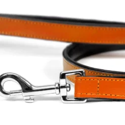 Gloria Pets Cuir Rembourré Orange 11 Gloria Pets Cuir Rembourré Orange -Trixie Soldes Magasin CR07911NA 2 637e030bad009