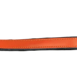 Gloria Pets Cuir Rembourré Orange 13 Gloria Pets Cuir Rembourré Orange -Trixie Soldes Magasin CR07911NA 5 637e030cb6695