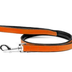 Gloria Pets Cuir Rembourré Orange 12 Gloria Pets Cuir Rembourré Orange -Trixie Soldes Magasin CR07911NA 637e030c3455e