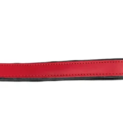 Gloria Pets Ceinture De Peau Rembourrée Rouge 12 Gloria Pets Ceinture De Peau Rembourrée Rouge -Trixie Soldes Magasin CR07911RJ 5 637e034801d5f