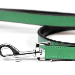 Gloria Pets Sangle En Cuir Rembourré Vert -Trixie Soldes Magasin CR07911VE 2 637e03a154f27