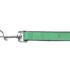 Gloria Pets Sangle En Cuir Rembourré Vert -Trixie Soldes Magasin CR07911VE 4 637e03a2d543c