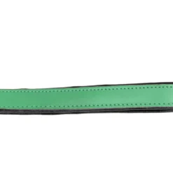 Gloria Pets Sangle En Cuir Rembourré Vert -Trixie Soldes Magasin CR07911VE 5 637e03a25acd0
