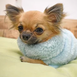 FuzzYard Sweatshirt Turtle Teddy Bleu Glace Arctique -Trixie Soldes Magasin Celeste XS Tina 1 633ab757d4924 scaled