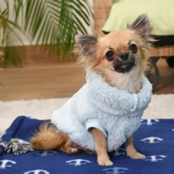 FuzzYard Sweatshirt Turtle Teddy Bleu Glace Arctique -Trixie Soldes Magasin Celeste XS Tina 11 633ab760e01bb scaled