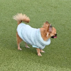 FuzzYard Sweatshirt Turtle Teddy Bleu Glace Arctique -Trixie Soldes Magasin Celeste XS Tina 22 633ab763e851e