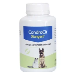 Stangest CondroCit Comprimés -Trixie Soldes Magasin Condrocit 120 comp 8436020788970 2 647795f7db1f7