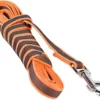 Julius K9 Laisse Longue Caoutchoutée Orange Avec Poignée Pour Chiens 1 Julius K9 Laisse Longue Caoutchoutée Orange Avec Poignée Pour Chiens -Trixie Soldes Magasin Correa julius larga para perro 647853a65a51d