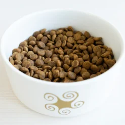 Lenda Nourriture Légère Pour Chiens Adultes -Trixie Soldes Magasin DSC02251 786x progressive 64899782e1423