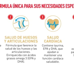 Royal Canin Tourteau British Shorthair 18 Royal Canin Tourteau British Shorthair -Trixie Soldes Magasin FBN Adult BritishShorth desk ES mod5 6303514c991cc