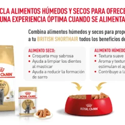 Royal Canin Tourteau British Shorthair 19 Royal Canin Tourteau British Shorthair -Trixie Soldes Magasin FBN Adult BritishShorth desk ES mod7 63035b8ac880f