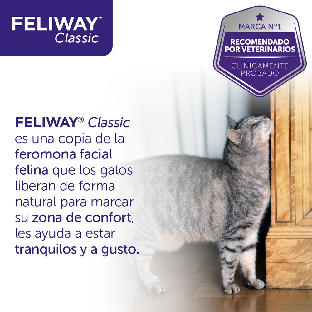 Feliway Classic Spray Anti-Stress Pour Chats 11 Feliway Classic Spray Anti-Stress Pour Chats – Image 9