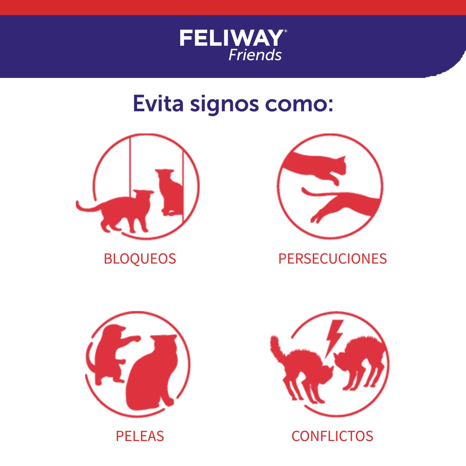Feliway Friends Rechange 48 Ml 5 Feliway Friends Rechange 48 Ml – Image 3
