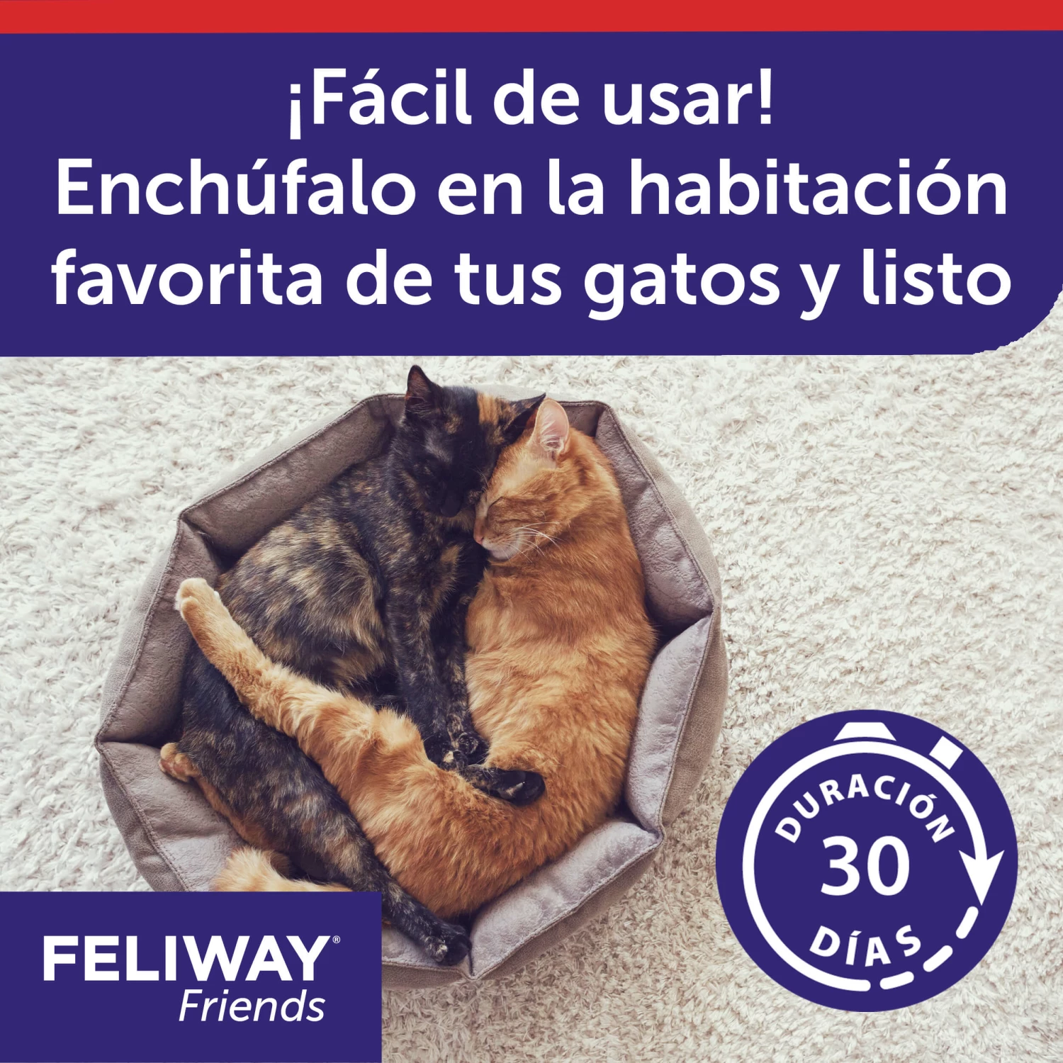 Feliway Friends Rechange 48 Ml 8 Feliway Friends Rechange 48 Ml – Image 6