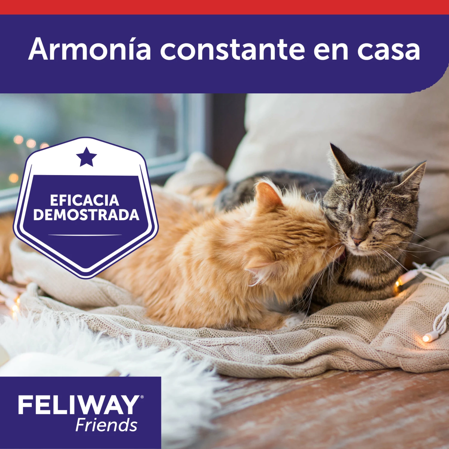 Feliway Friends Rechange 48 Ml 9 Feliway Friends Rechange 48 Ml – Image 7