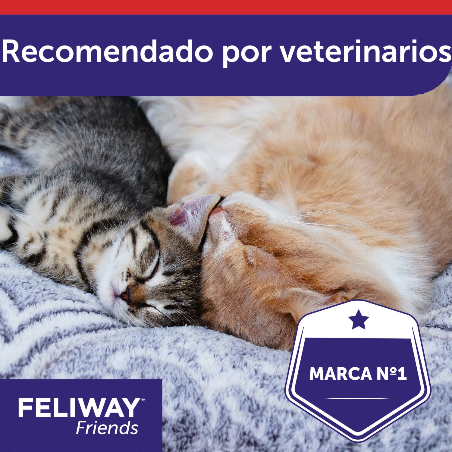 Feliway Friends Rechange 48 Ml 10 Feliway Friends Rechange 48 Ml – Image 8