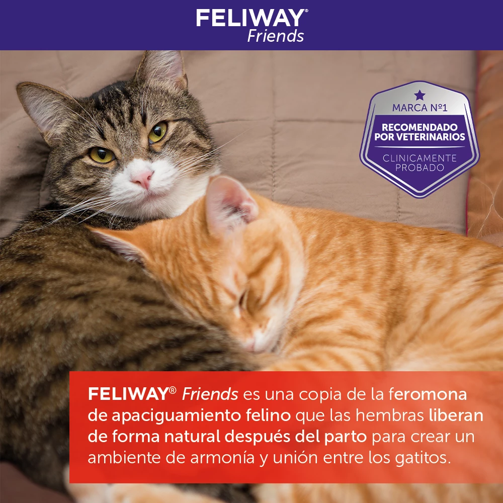 Feliway Friends Rechange 48 Ml 11 Feliway Friends Rechange 48 Ml – Image 9