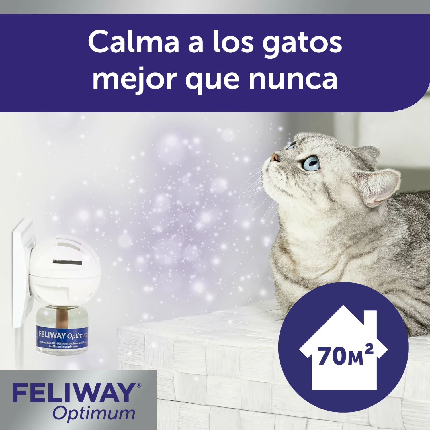 Feliway Optimum 3 Pack Recambios 6 Feliway Optimum 3 Pack Recambios – Image 4