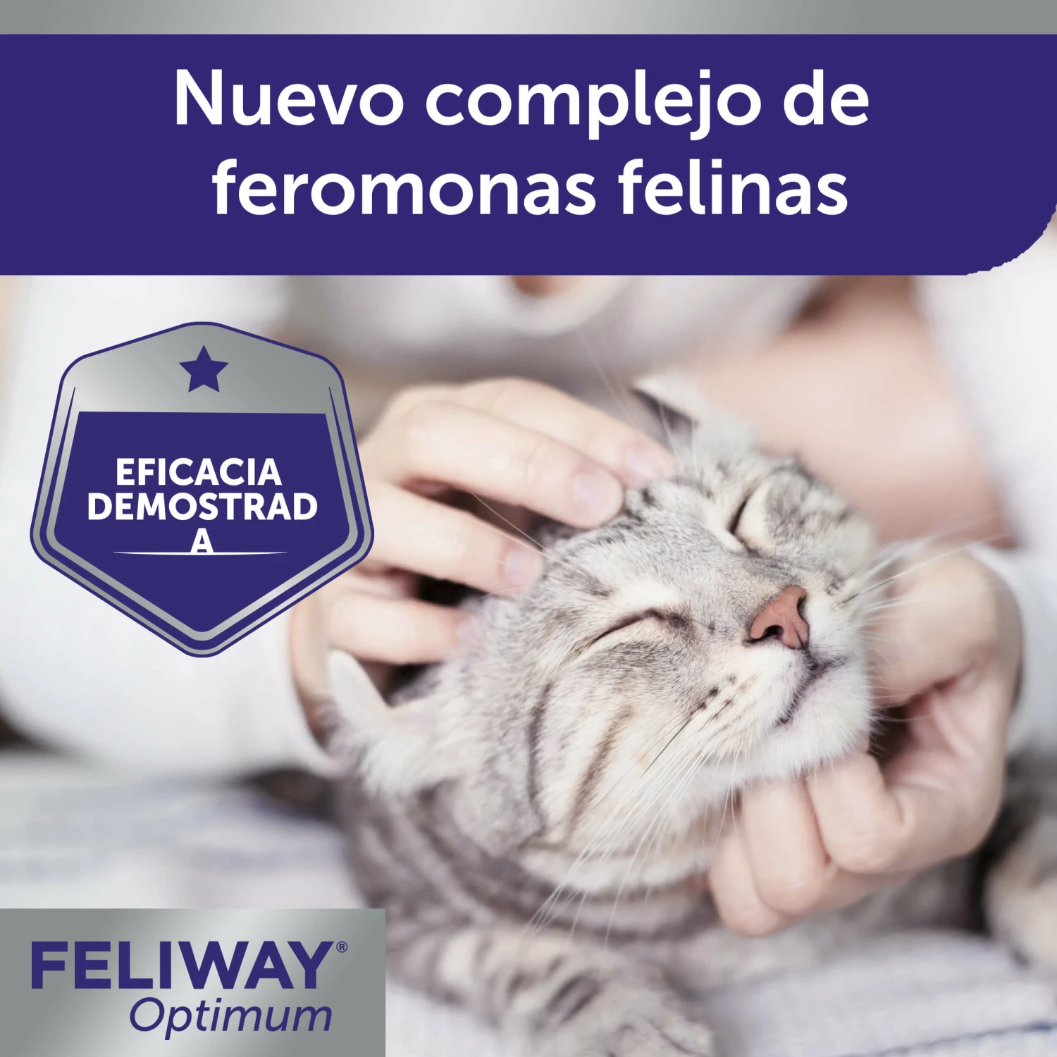 Feliway Optimum 3 Pack Recambios 8 Feliway Optimum 3 Pack Recambios – Image 6