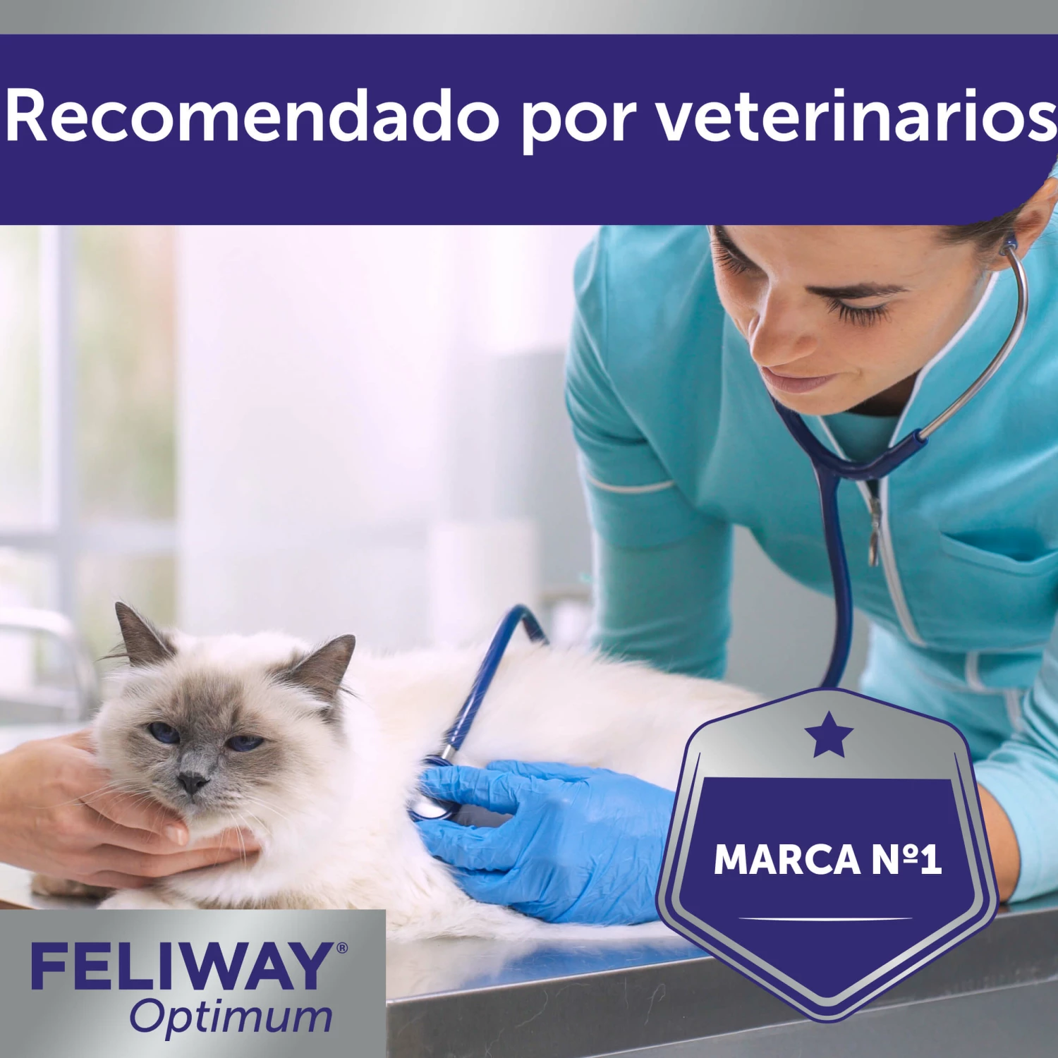 Feliway Optimum 3 Pack Recambios 9 Feliway Optimum 3 Pack Recambios – Image 7