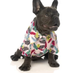 FuzzYard Chemise Hawaïenne Ohana Pour Chiens -Trixie Soldes Magasin FZAW291 7 HawaiianShirt Ohana Dog 4 649ab53173e36 scaled