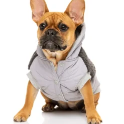 FuzzYard Sweat à Capuche Oregon Gris Pour Chien -Trixie Soldes Magasin FZAW3131 7 OregonHoodie Grey Dog12 1024x1024 63f4a705722db