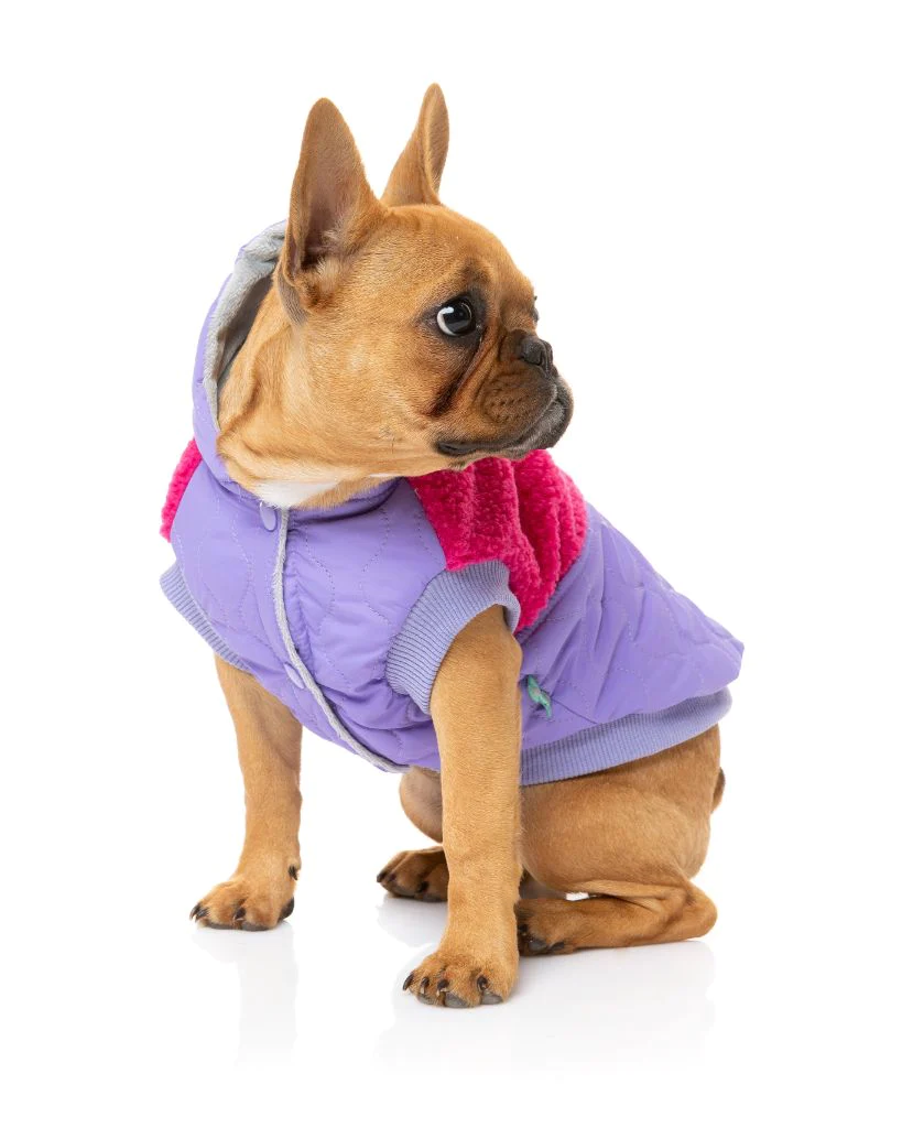 FuzzYard Sweat à Capuche Oregon Lavande Pour Chien 6 FuzzYard Sweat à Capuche Oregon Lavande Pour Chien – Image 4