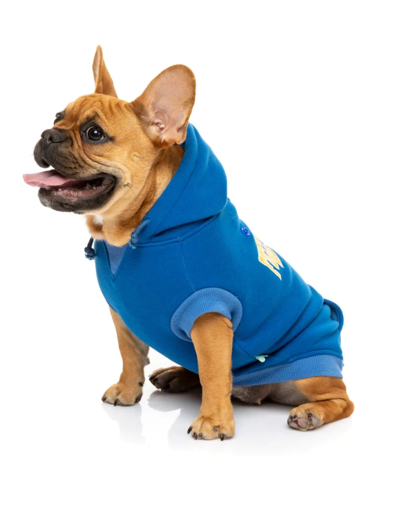 FuzzYard Sweat à Capuche State Bleu Pour Chien 6 FuzzYard Sweat à Capuche State Bleu Pour Chien – Image 4