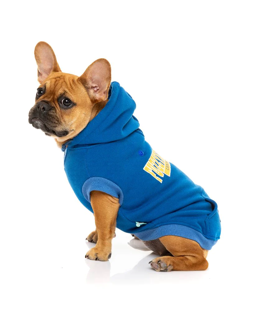 FuzzYard Sweat à Capuche State Bleu Pour Chien 7 FuzzYard Sweat à Capuche State Bleu Pour Chien – Image 5