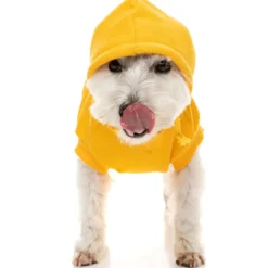 FuzzYard Sweat à Capuche State Jaune Pour Chien 10 FuzzYard Sweat à Capuche State Jaune Pour Chien -Trixie Soldes Magasin FZAW3331 7 FuzzYardStateHoodie Yellow Dog2 1024x1024 63f4aa0ac3c76