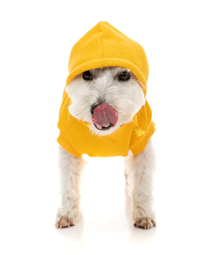 FuzzYard Sweat à Capuche State Jaune Pour Chien 6 FuzzYard Sweat à Capuche State Jaune Pour Chien – Image 4