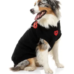 FuzzYard Sweat à Capuche Noir Pour Chien -Trixie Soldes Magasin FZAW3961 7 Hoodies Heartbreaker Black Dog12 1024x1024 63f4abe7427bc