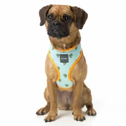 FuzzYard Harnais Tucson -Trixie Soldes Magasin FZH105 1 62c2a1d8a0f11