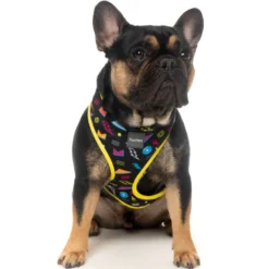 FuzzYard Harness Bel Air 6 FuzzYard Harness Bel Air -Trixie Soldes Magasin FZH226 30 Harness BelAir Dog 01 1024x1024 62c2975eb61e2