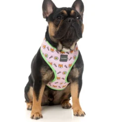 FuzzYard Harness Sushiba -Trixie Soldes Magasin FZH266 70 Harness SuShiba Dog 6 1024x1024 62c296f7a44e7
