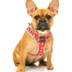 FuzzYard Arnés Step In Fresh Kicks Para Perros -Trixie Soldes Magasin FZHS297 302 StepinHarness FreshKicks Dog01 1024x1024 63fddb16e522d