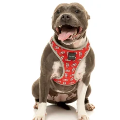 FuzzYard Arnés Step In Fresh Kicks Para Perros -Trixie Soldes Magasin FZHS297 302 StepinHarness FreshKicks Dog12 1024x1024 63fddb182ef82