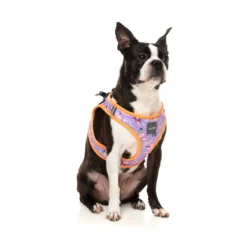 FuzzYard Harnais Step In Aloha Dolphins Pour Chiens -Trixie Soldes Magasin FZHS453 8 StepInHarness AlohaDolphins Dog02 1 1024x1024 63ee1d3749814